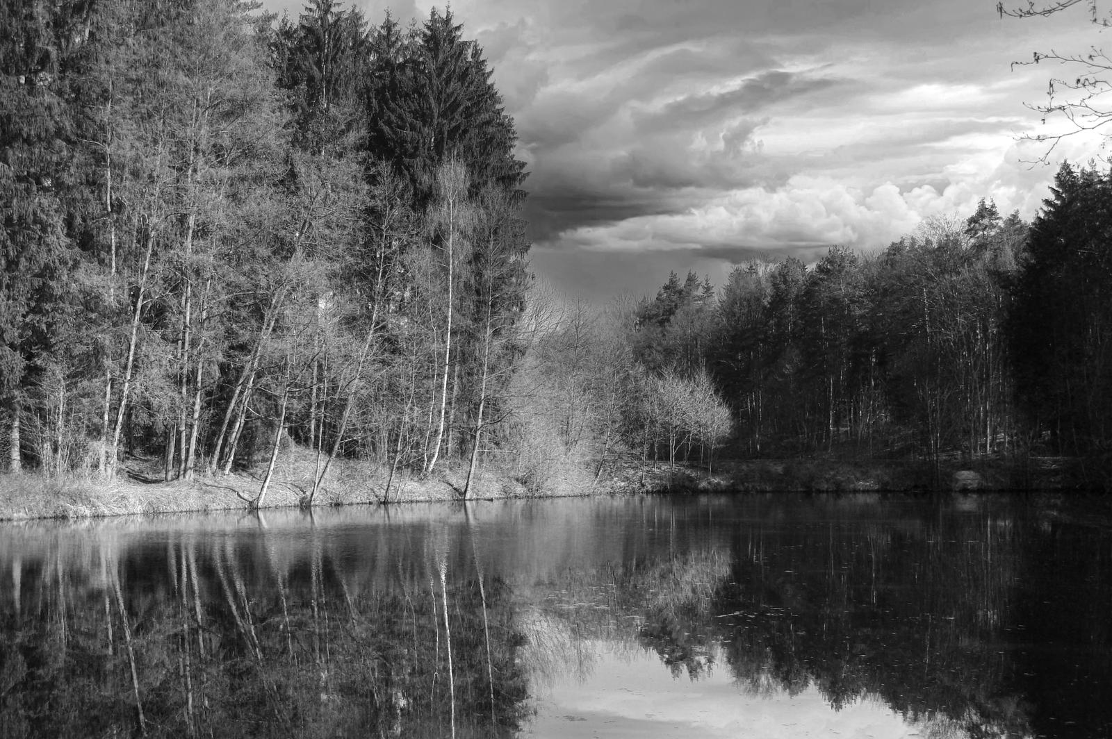 Nature black and white by jplei on DeviantArt