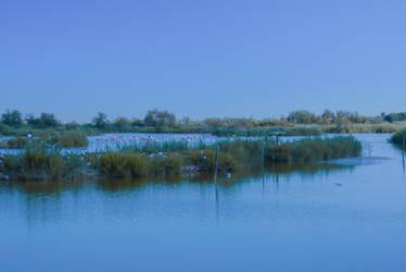 Embedded in blue