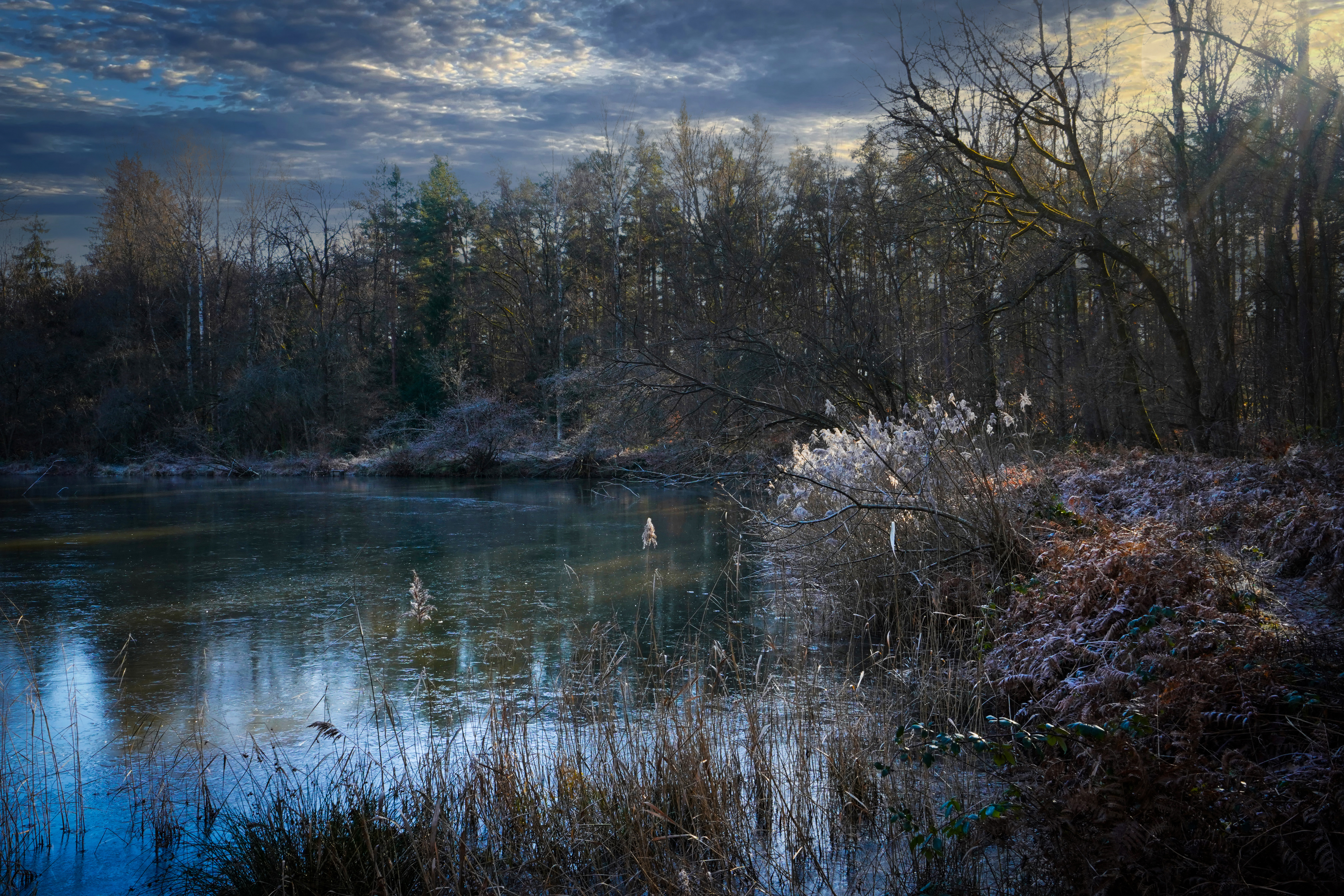 Frozen Dream