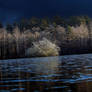 Blue Silence