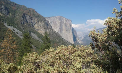 Yosemite's Mountains