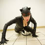 Catwoman 08