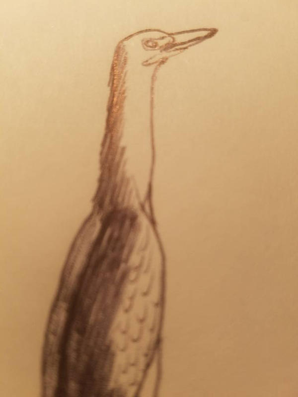 Zoop by Indomelon on DeviantArt