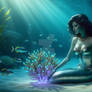 Under the Sea