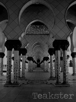 Shaykh Zayd Mosque - Pillars