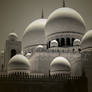 Shaykh Zayd Mosque - Domes