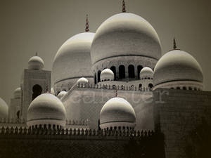 Shaykh Zayd Mosque - Domes