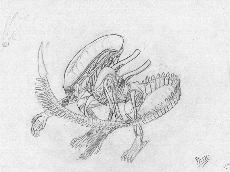 xenomorph