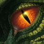 Dragon Eye v2010