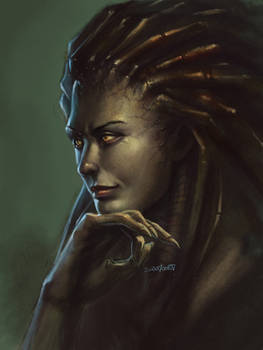 Kerrigan Sketch 2