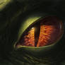 Dragon Eye 2012