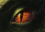 Dragon Eye 2012