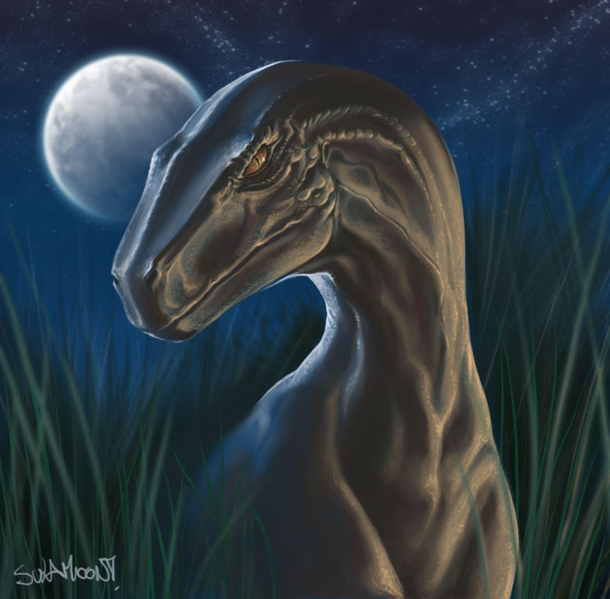 Lazer Raptor Deviantart Raptor by SulaMoon on DeviantArt