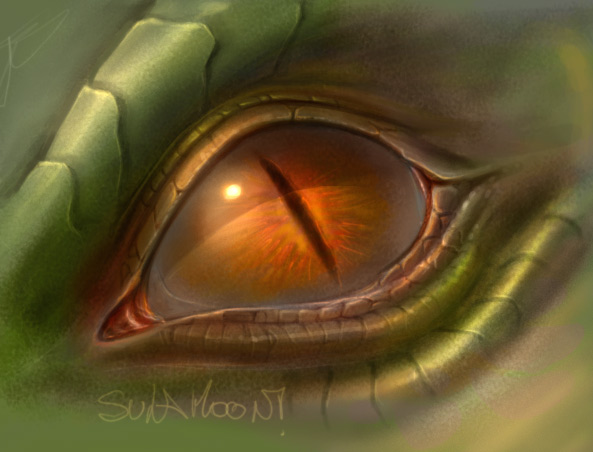 Dragon Eye