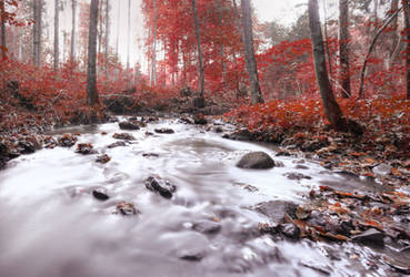 Red Autumn by mARTinimal