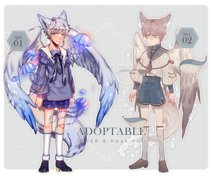 OPEN (1/2) | Adoptable with KwanYori