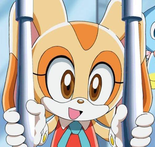 Cream the Rabbit by CartoonCharactersFan on DeviantArt