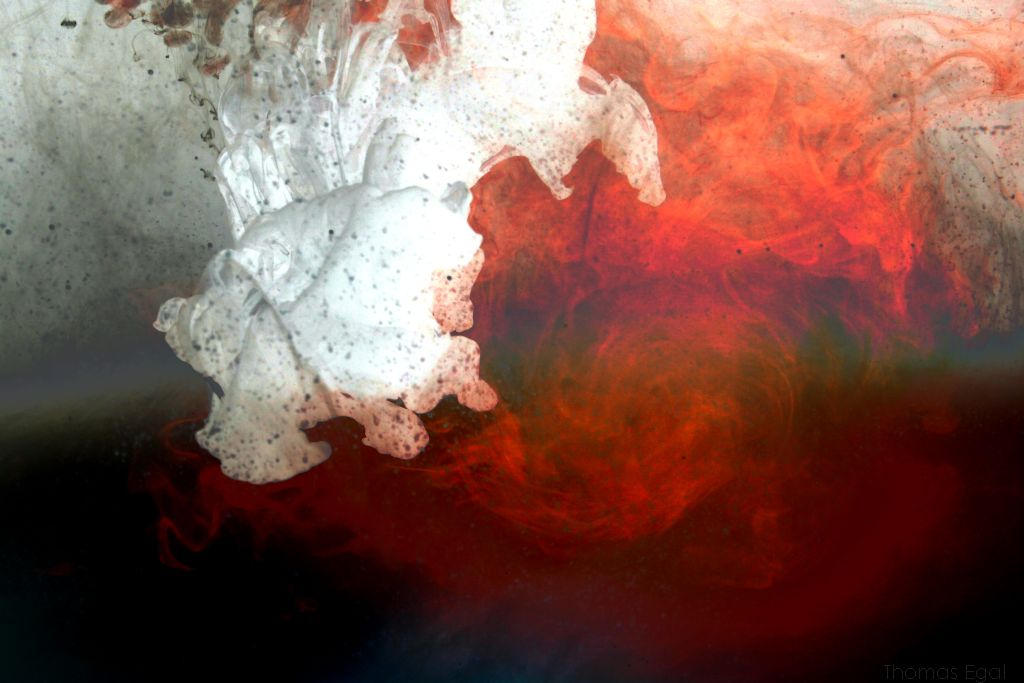 white and red fight by MaIN4art on DeviantArt