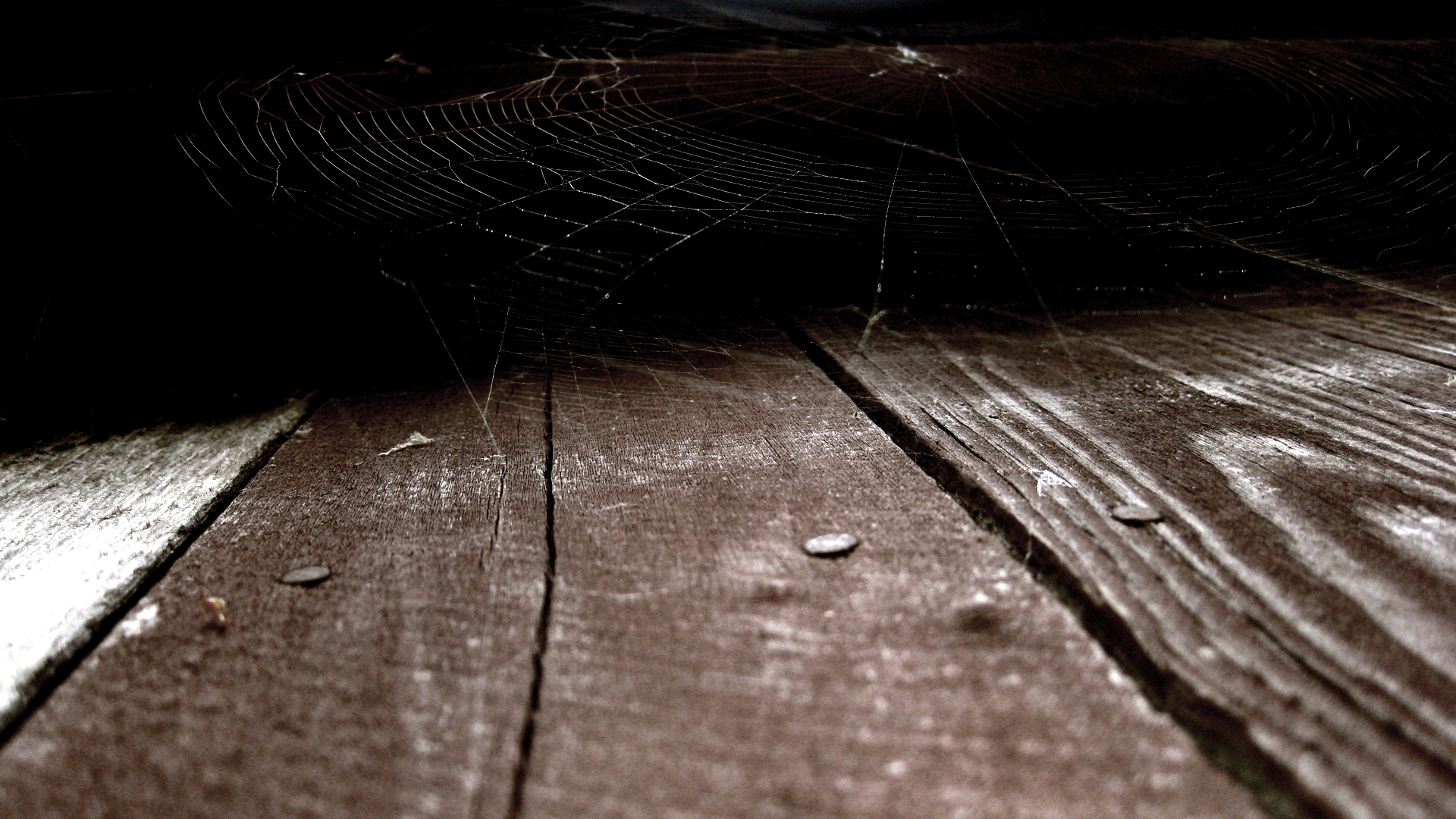 Spiderweb