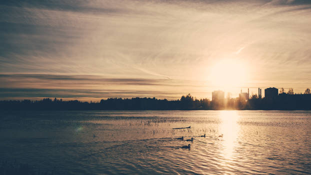 Evening Swim