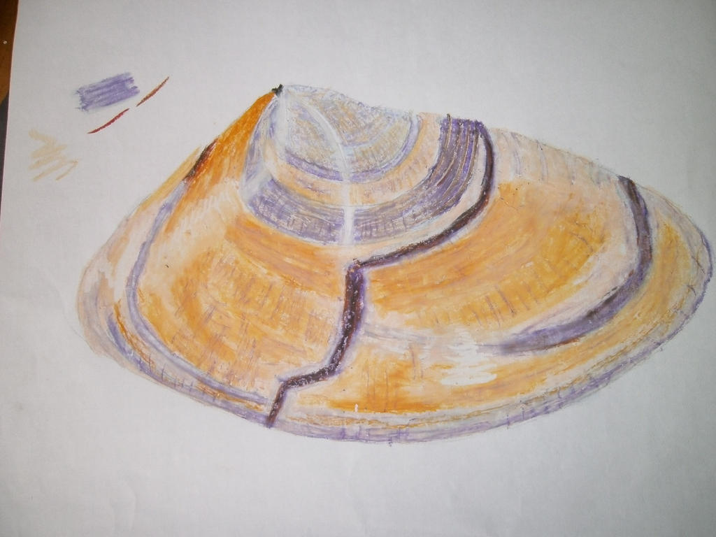 Shell (Outward) by DragonFlame94 on DeviantArt