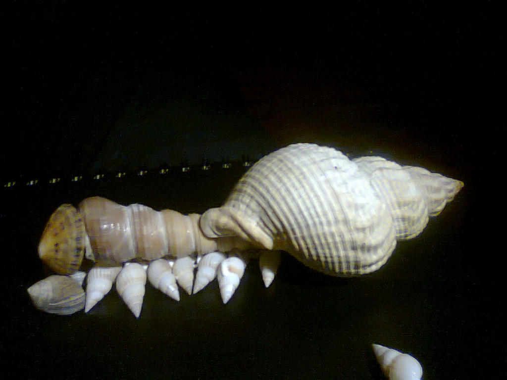 Shell Creature by DragonFlame94 on DeviantArt