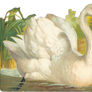 Vintage swan clipart