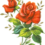 Red rose png
