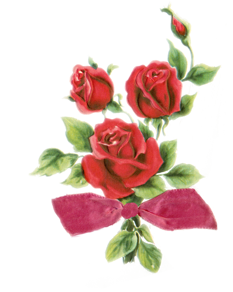 Red Rose png by jinifur on DeviantArt