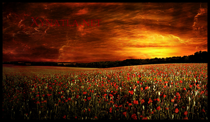 Vision in Red