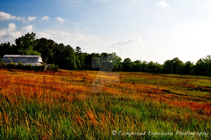 countryside