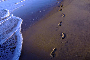 Walking in the Sand