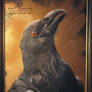 Crow