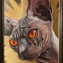Sphynx