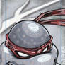 Raph sketch card