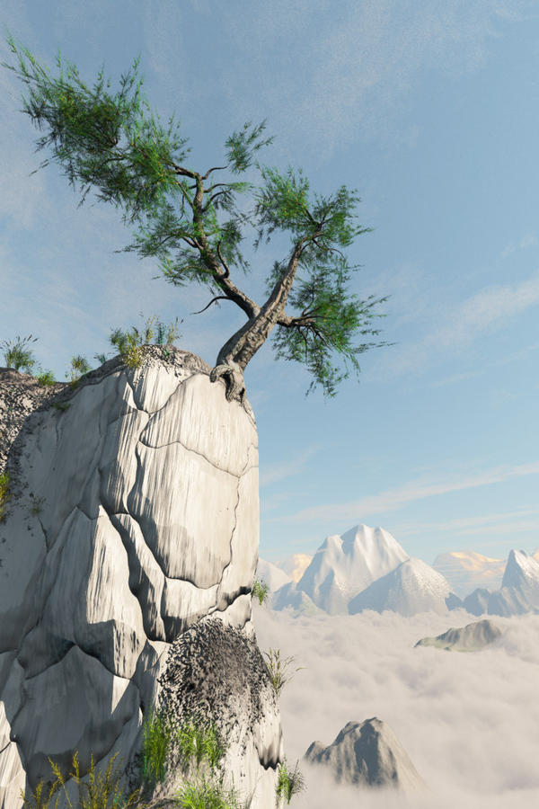 Tree-on-Cliff