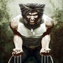 Wolverine