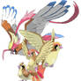 16-18 Pidgey Evolutions