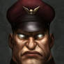 M Bison