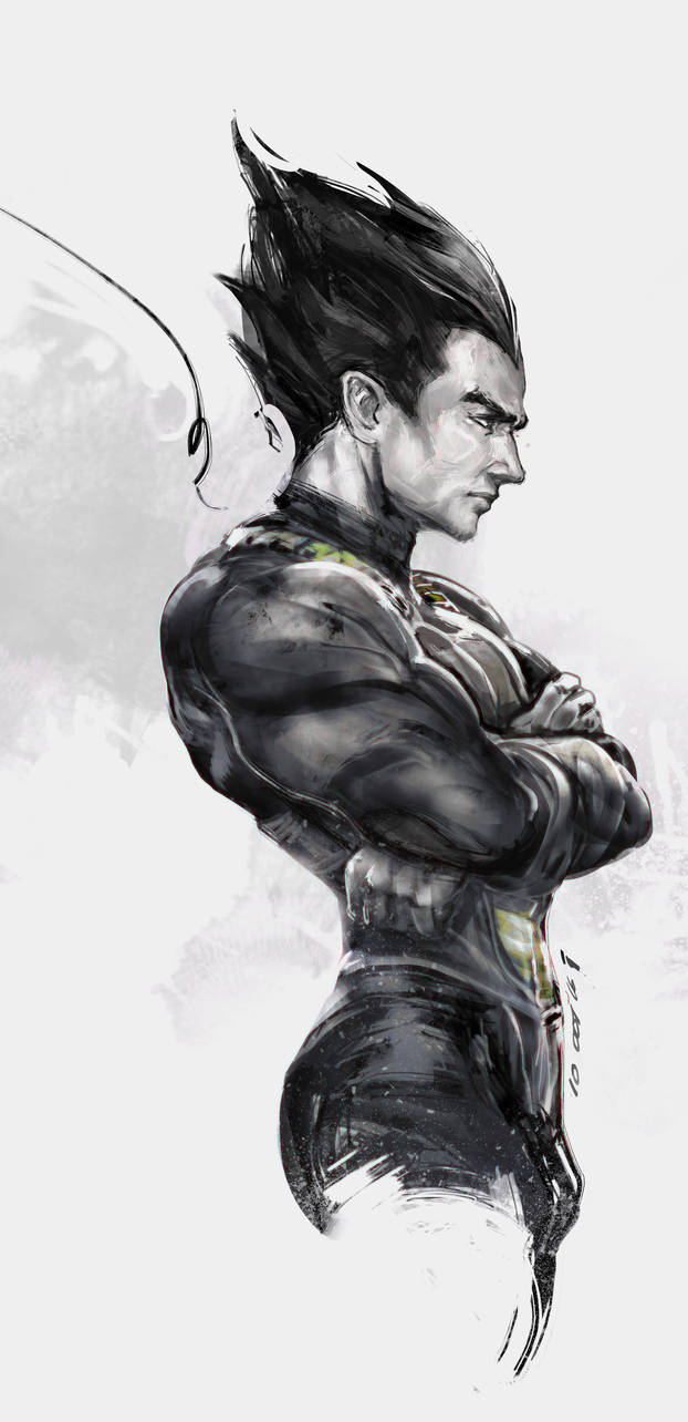 vegeta by iVANTAO