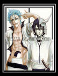 :BLEACH: Grimmjow_Ulquiorra by liesean