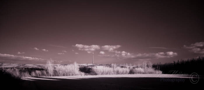 Infrared Photo