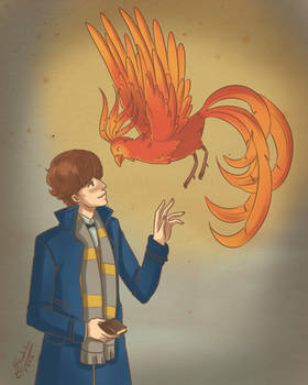 Newt Scamander