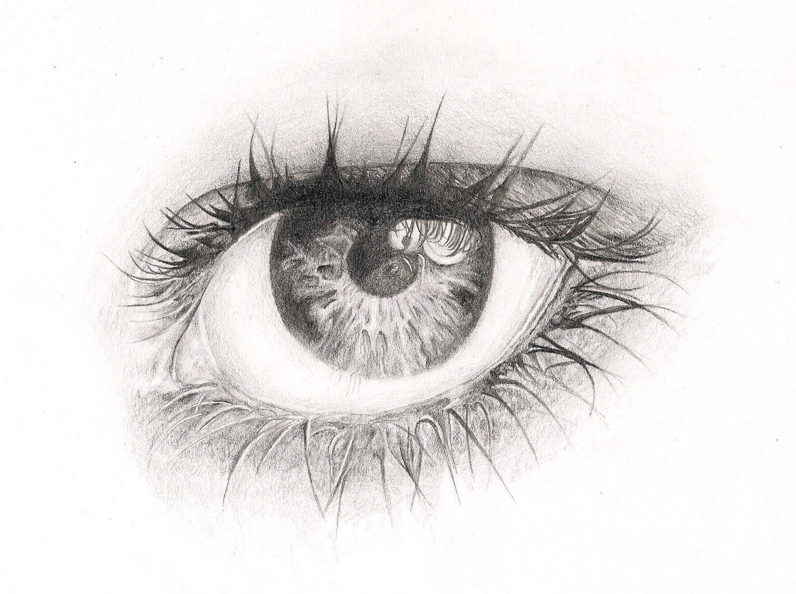 Eye