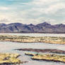 Patagonian Landscape  -  my first oil painting