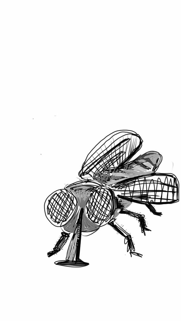 Deviantart Compostfly The fly by Coxymaxy on DeviantArt