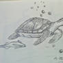 Dailly Drawing Challenge Day 16: Galapagos turtle