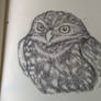 daily drawing challenge day 38: owl