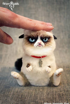 Grumpy Cat