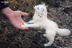 White wolf Pakshi by Flicker-Dolls